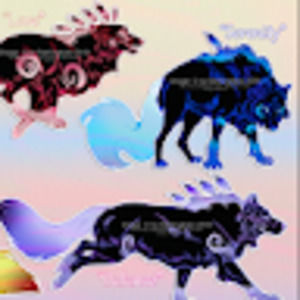 Meet your Posher, Dawn